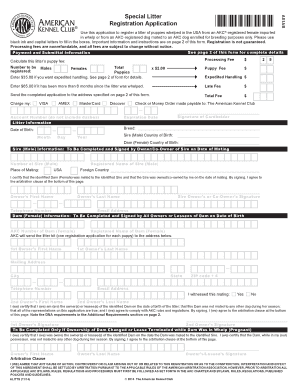 Form preview picture