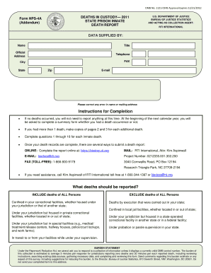 Form preview picture