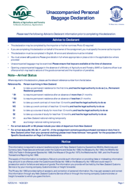Unaccompanied Baggage Declaration