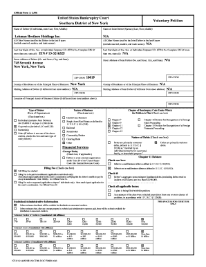 US Bankruptcy Court Voluntary Petition