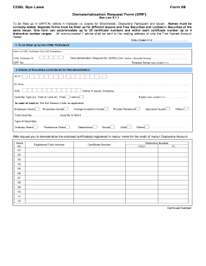 Form preview picture