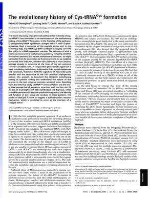 The evolutionary history of Cys-tRNACys formation - University of ... - ks uiuc