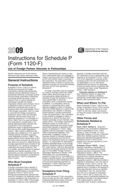 Instructions for Schedule P (Form 1120-F)