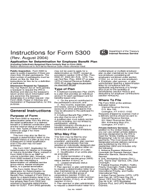 IRS Form 5300 Instructions
