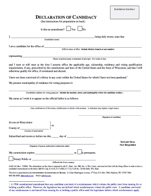 Wisconsin Declaration of Candidacy