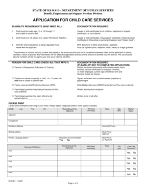 Hawaii Child Care Services Application
