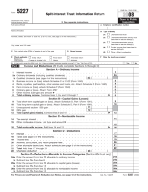 IRS Form 5227 2008