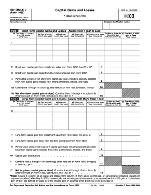 Schedule D Capital Gains and Losses Form 1065