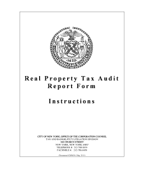 Real Property Tax Audit Report Form