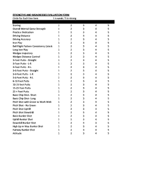 Strengths and Weaknesses Evaluation Form