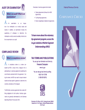 IRS Audit and Compliance Check Guide