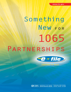 IRS Form 1065 Partnership Return