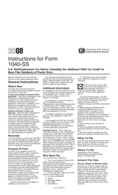 Instructions for Form 1040-SS