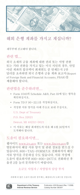 Foreign Bank Account Reporting Form