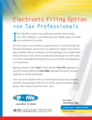 IRS e-file Option for Tax Professionals
