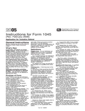 Instructions for Form 1045