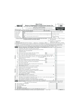 IRS Form 990-EZ 2004