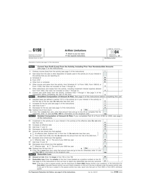 IRS Form 6198 At-Risk Limitations 2004
