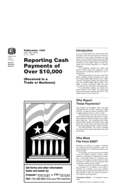 IRS Form 8300 Instructions