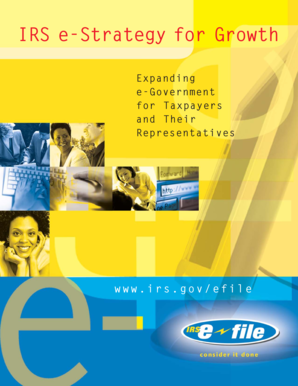 IRS e-Strategy for Growth