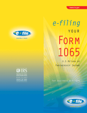 Form 1065 US Partnership Income Return