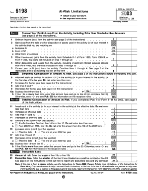 Form 6198 At-Risk Limitations 2003