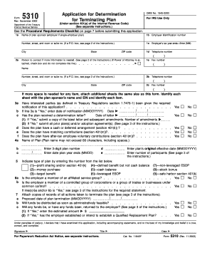 fill in 5310 form