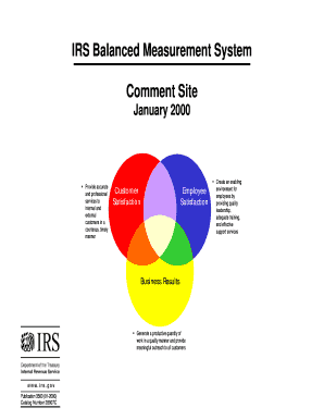 IRS Balanced Measurement System Comment Form