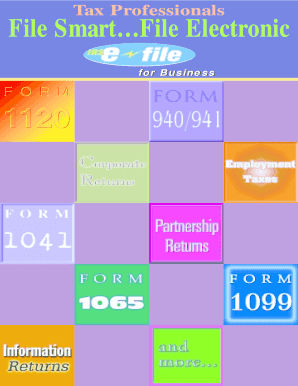 IRS Business E-File Guide