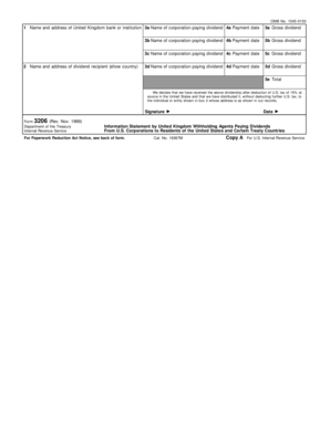 Form 3206 Dividend Statement