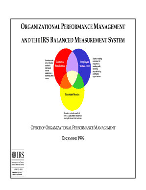 IRS Balanced Measurement System