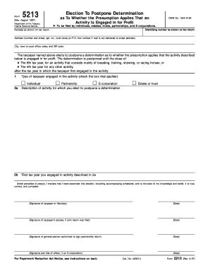 IRS Form 5213 Election to Postpone Determination