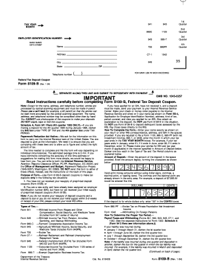 IRS Form 8109-B