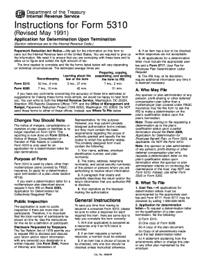 Form 5310 Instructions