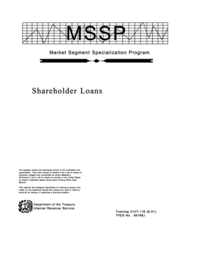 Shareholder Loan Audit Techniques Guide