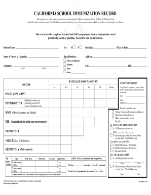 immunization record form