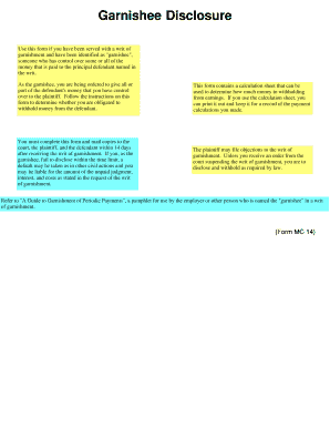 Michigan Garnishee Disclosure Form