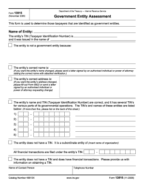 IRS Form 13815 Government Entity Assessment
