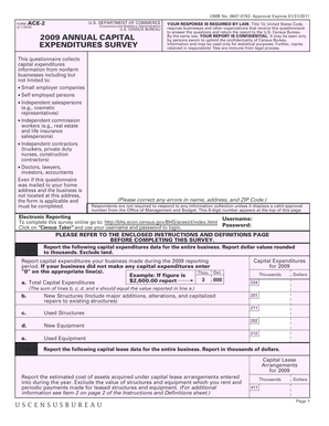 US Census Bureau Form ACE-2