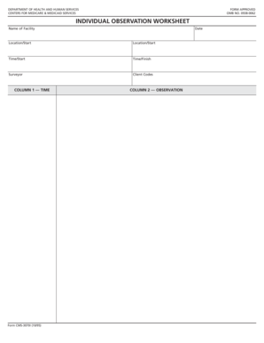 Individual Observation Worksheet
