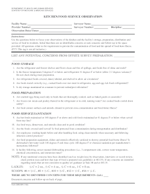 Kitchen Food Service Observation Form