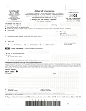 Schedule B Actuarial Information Form 5500