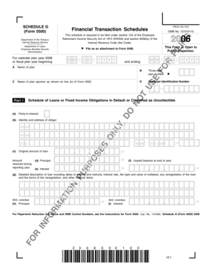 Schedule G (Form 5500) 2006