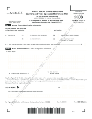 Form 5500-EZ Annual Return