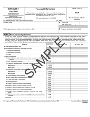 Schedule H Form 5500