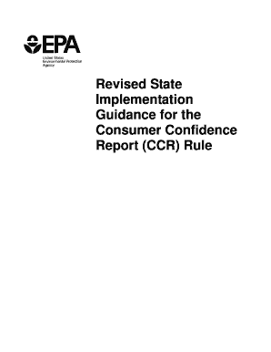 consumer confidence reports form