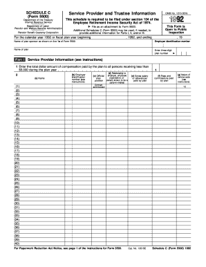 5500 schedule c form