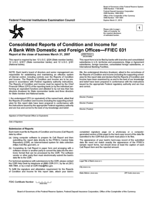 FFIEC 031 Consolidated Reports of Condition and Income