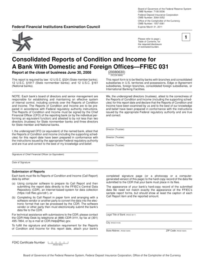 FFIEC 031 Consolidated Reports of Condition and Income