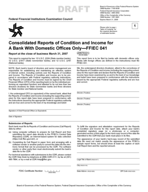 FFIEC 041 Consolidated Reports of Condition and Income